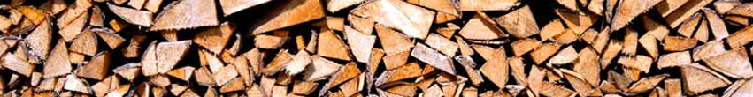 Coupe bois et arbuste Coupe bois et arbuste