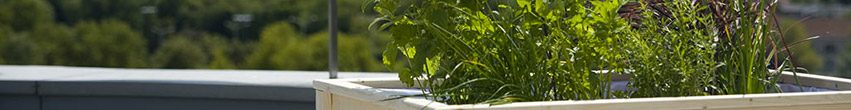 Jardinière Jardinière