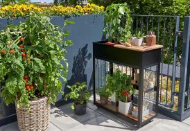 Mini serre avec jardinière en aluminium et verre trempé